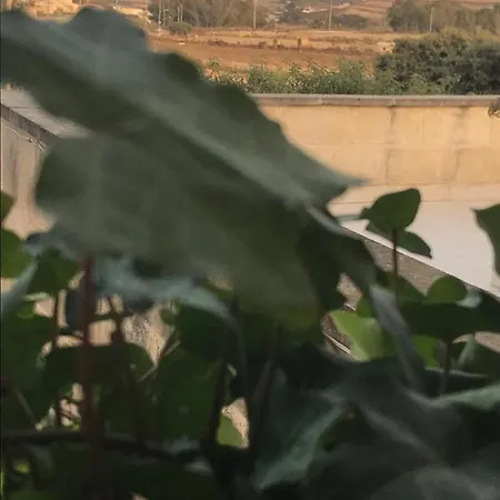 住宿加早餐酒店 Dar Il-hena Organic