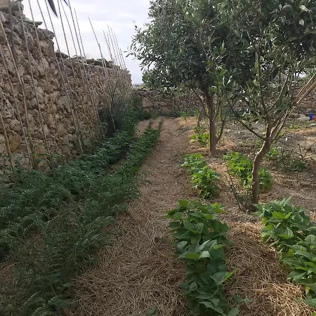 Dar Il-hena Organic Panzió Għasri